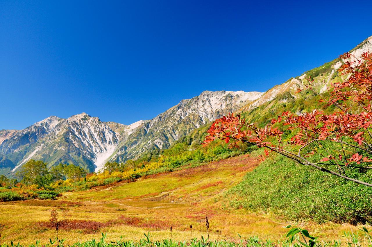 Hotel Hakuba Berghaus Отарі Екстер'єр фото